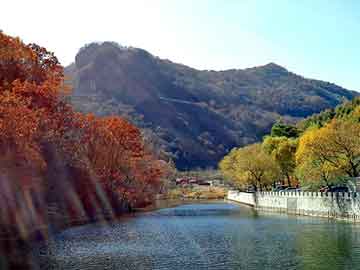 大三巴一肖二码最准，龙岗装饰